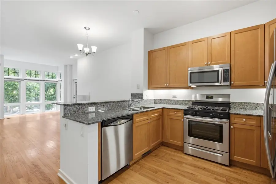 1707 W George Street, Chicago, IL 60657 - #2