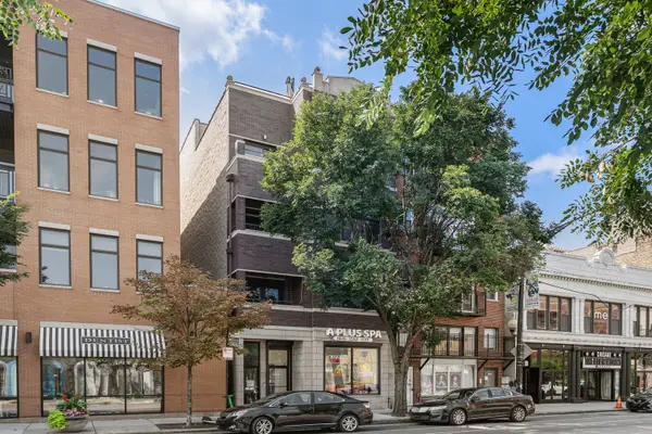 1109 W Belmont Avenue #4, Chicago, IL 60657
