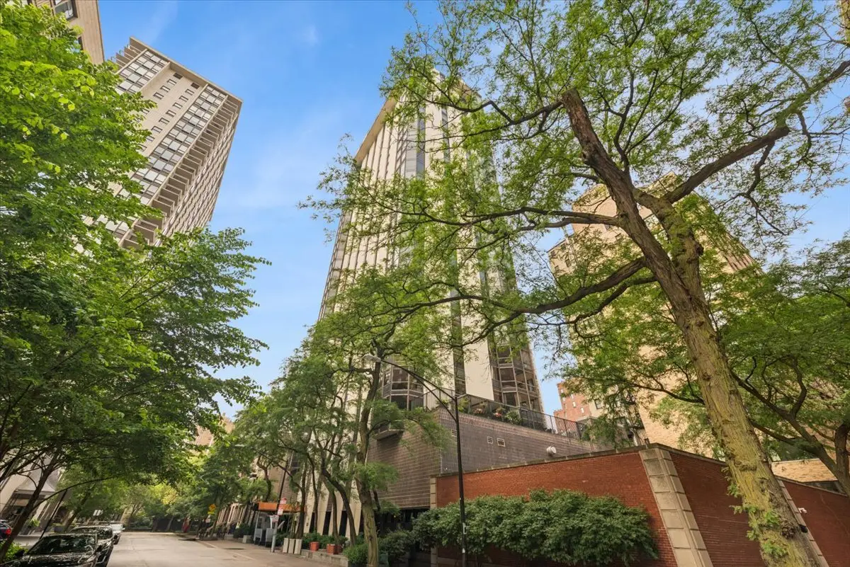 1310 N Ritchie Court #10AD, Chicago, IL 60610 - #1
