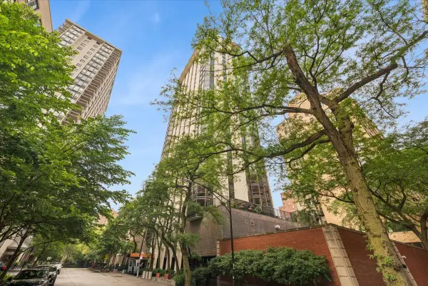1310 N Ritchie Court #10AD, Chicago, IL 60610