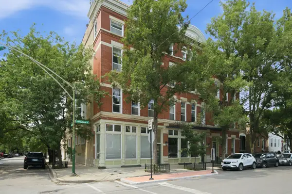 1528 N Paulina Street #C, Chicago, IL 60622