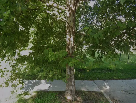 6010 S Union Avenue, Chicago, IL 60621 - #1