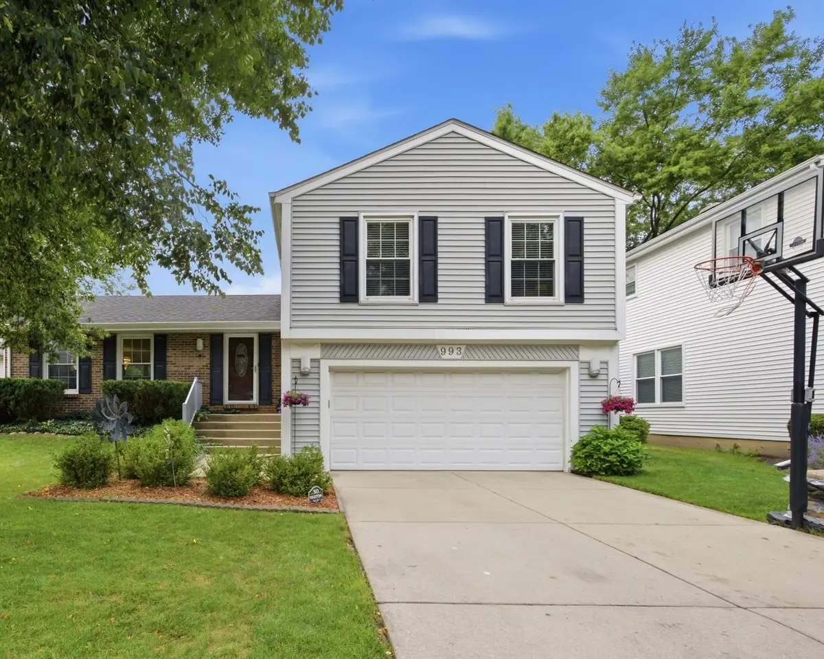 993 Knollwood Drive, Buffalo Grove, IL 60089 - #1