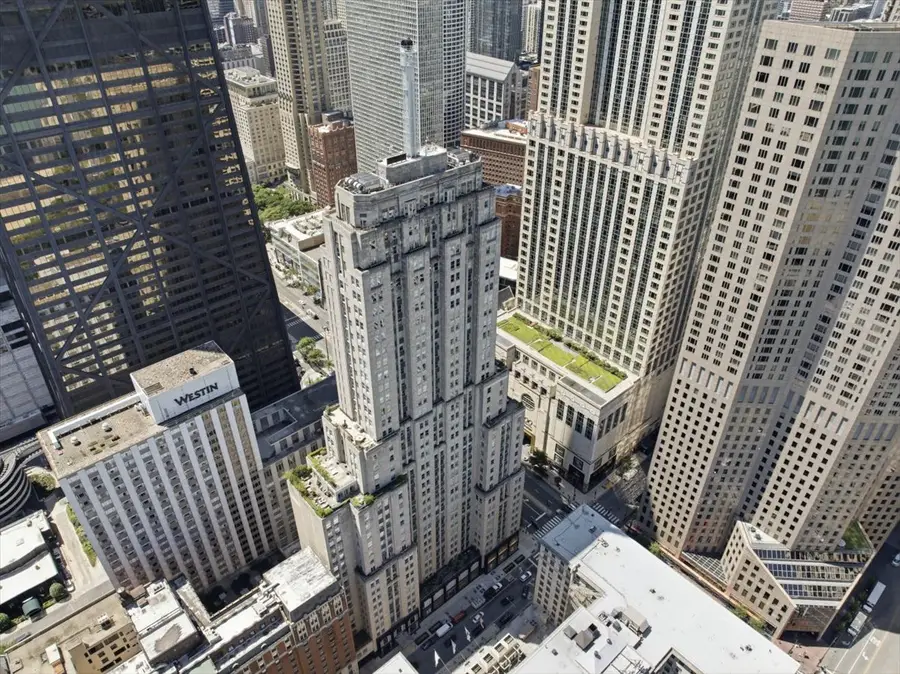 159 E Walton Place #8D, Chicago, IL 60611 - #3