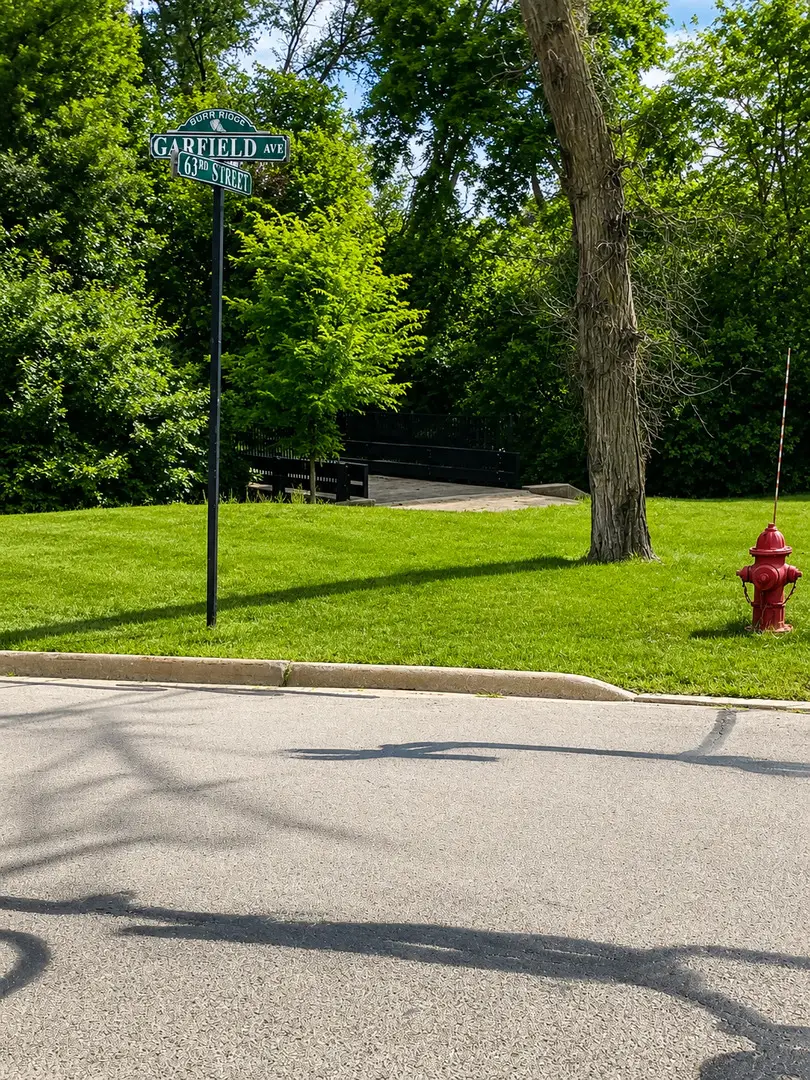 6297 Garfield, Burr Ridge, IL 60527 - #3