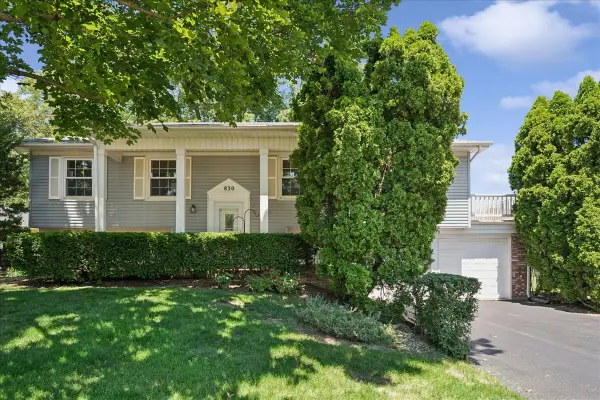 830 Woodhollow Lane, Buffalo Grove, IL 60089