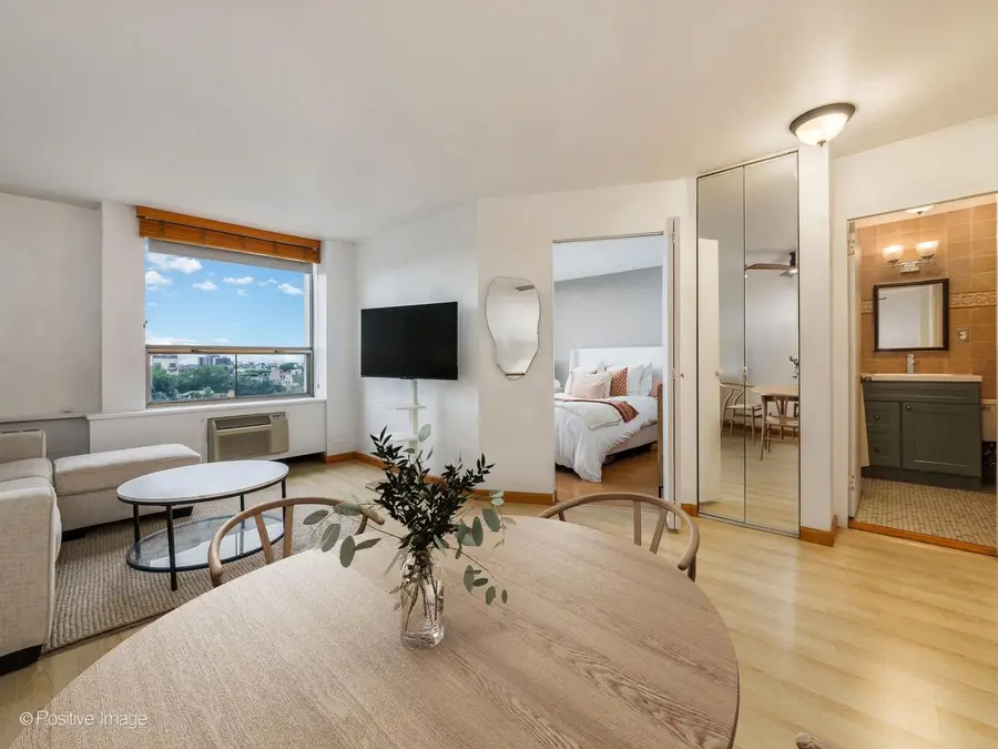 1455 N Sandburg Terrace #803, Chicago, IL 60610 - #3