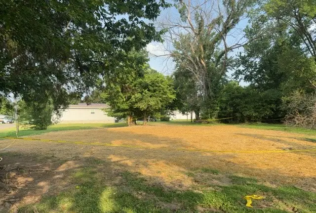 709 E Morton Street, Sparta, IL 62286 - #2