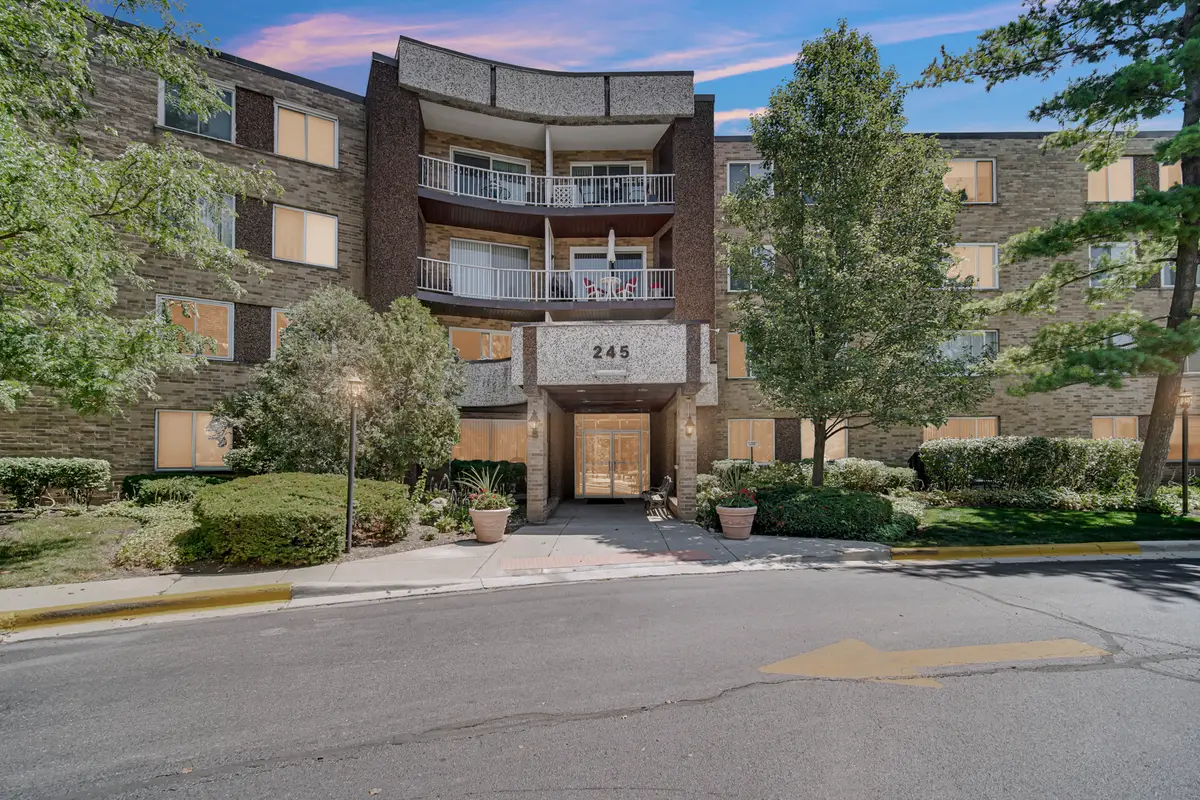 245 S Park Lane #419, Palatine, IL 60074 - #1