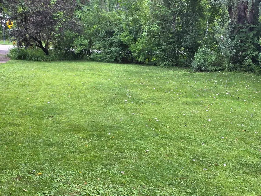 26216 N Elmwood Avenue, Mundelein, IL 60060 - #3