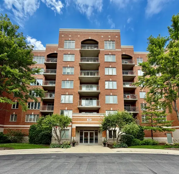 390 S Western Avenue #204, Des Plaines, IL 60016