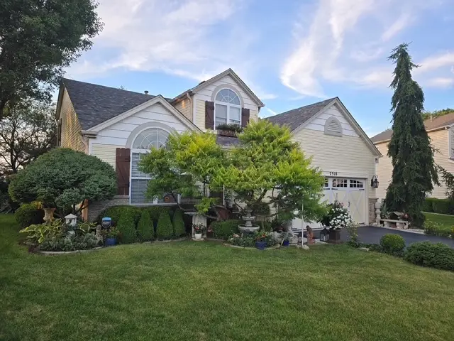 2318 Willow Lakes Court, Plainfield, IL 60586 - #1
