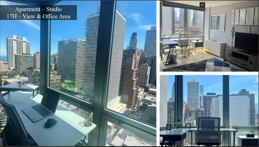 21 W Goethe Street #17H, Chicago, IL 60610 - #3