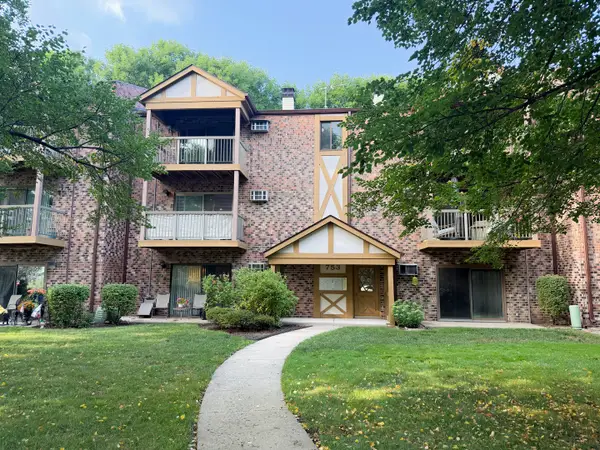 753 S Dwyer Avenue #E, Arlington Heights, IL 60005