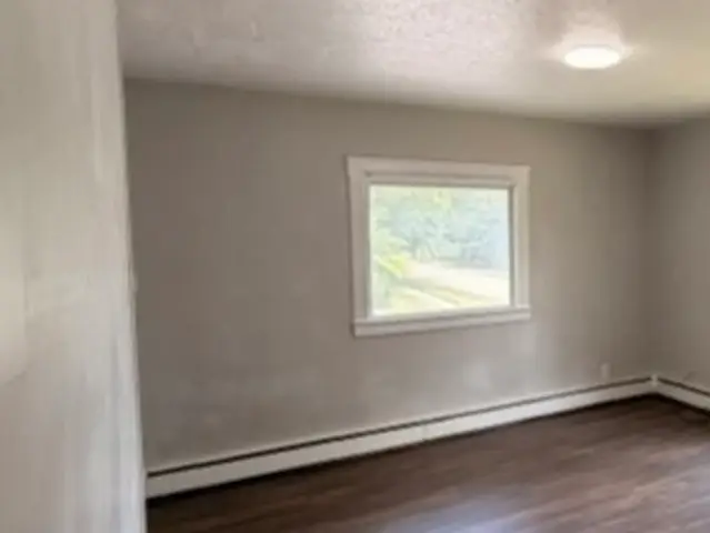 114 E Lincoln Street, Saybrook, IL 61770 - #3