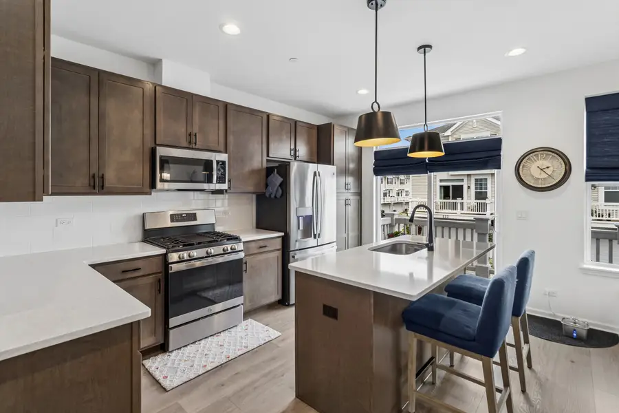 208 Timberleaf Circle, Roselle, IL 60172 - #2