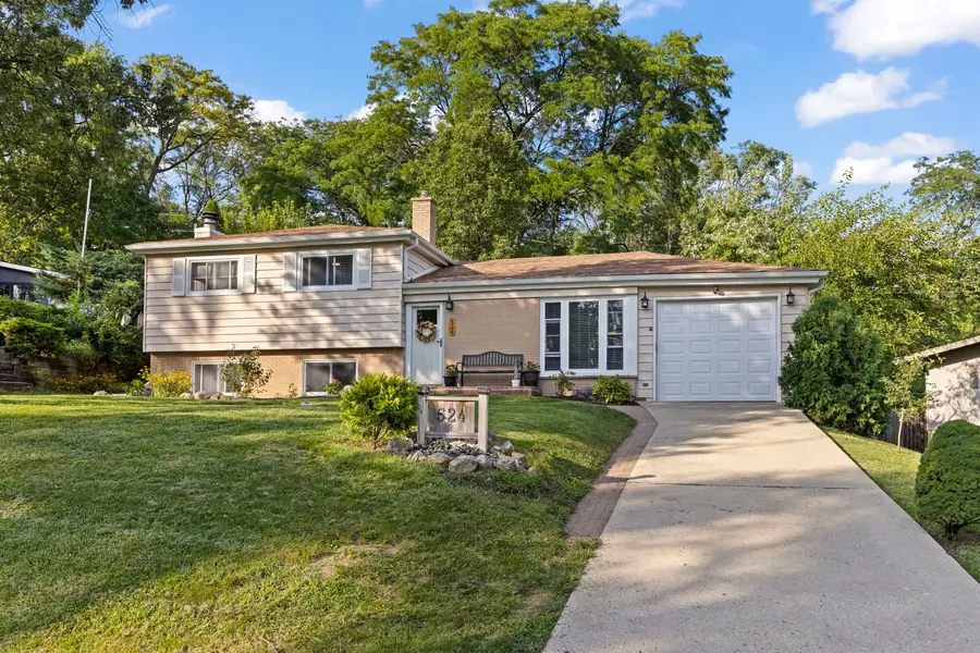 22W524 Birchwood Drive, Glen Ellyn, IL 60137 - #2