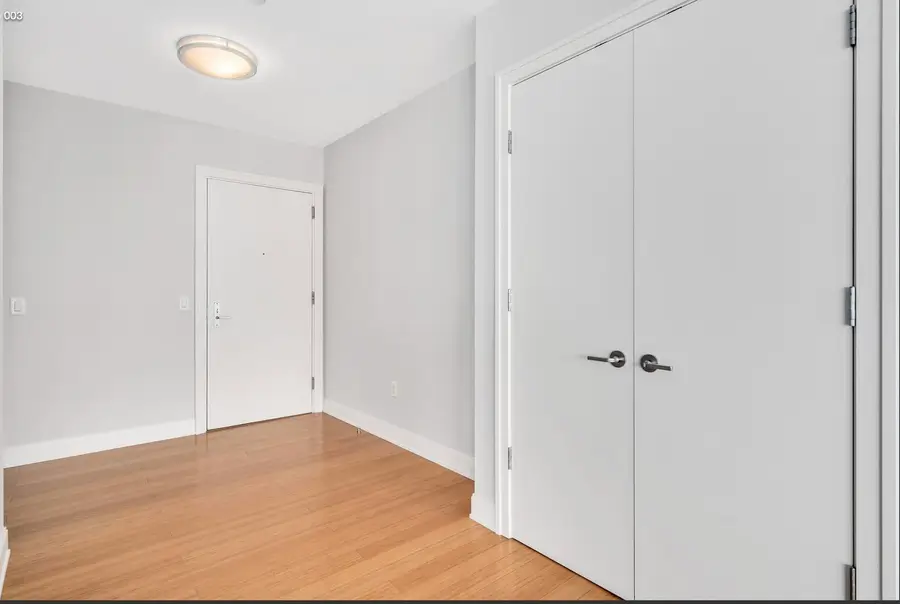 340 E Randolph Street #4802, Chicago, IL 60601 - #2