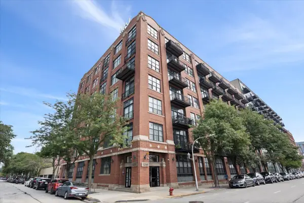 1250 W Van Buren Street #704, Chicago, IL 60607