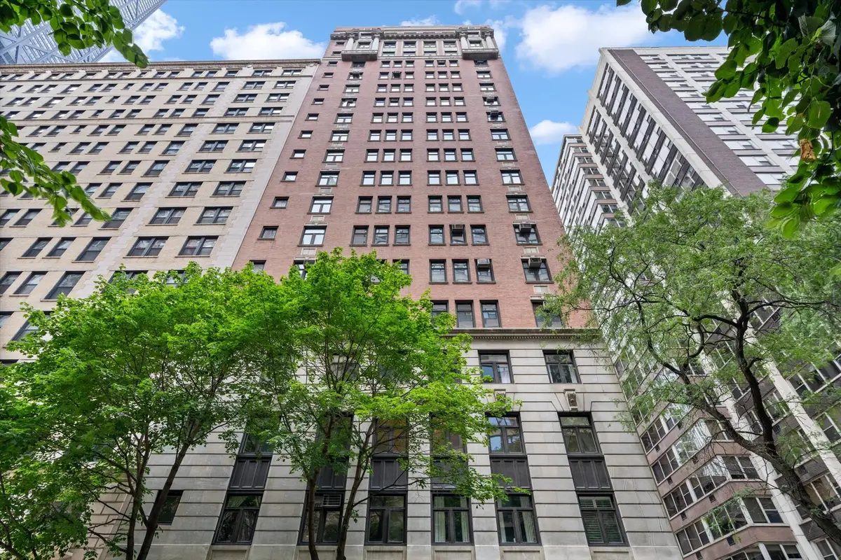 222 E Chestnut Street #6B, Chicago, IL 60611 - #1