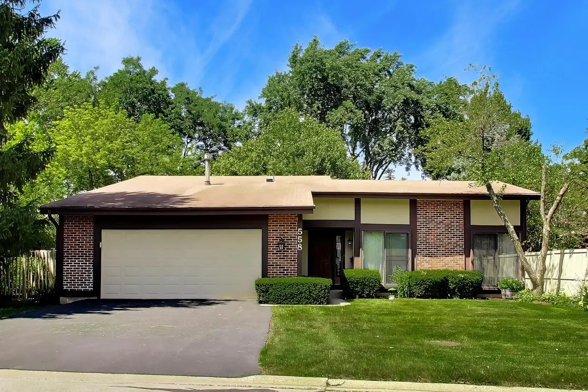 558 Glacier Trail, Roselle, IL 60172 - #1