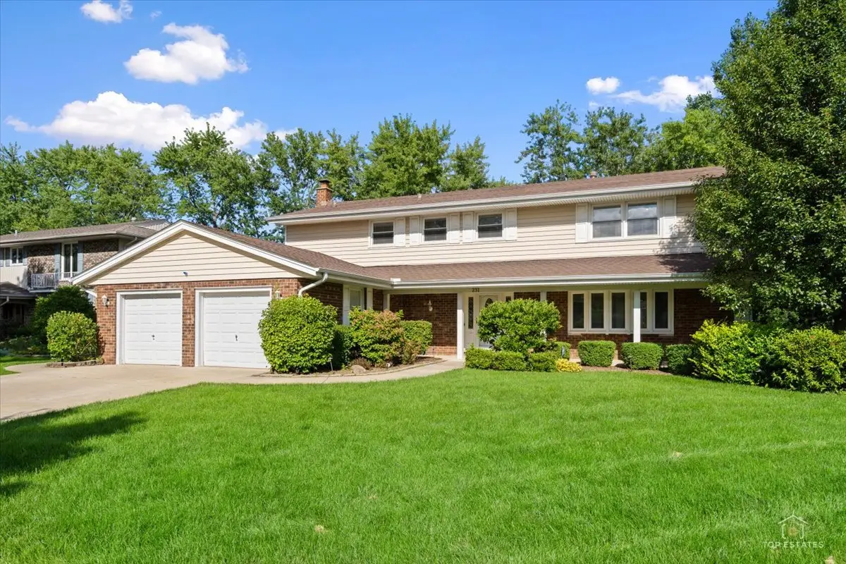 231 Southwick Lane, Schaumburg, IL 60173 - #1