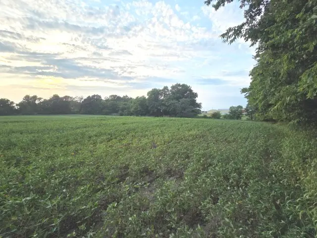 0 Phillip Street, Waltonville, IL 62894 - #3