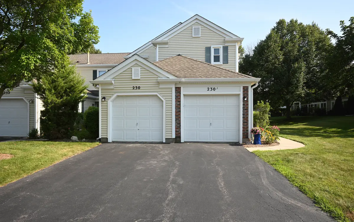 230 University Lane, Elk Grove Village, IL 60007 - #1