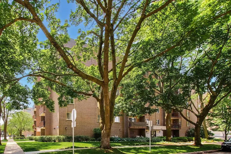 1365 Ashland Avenue #501, Des Plaines, IL 60016 - #2