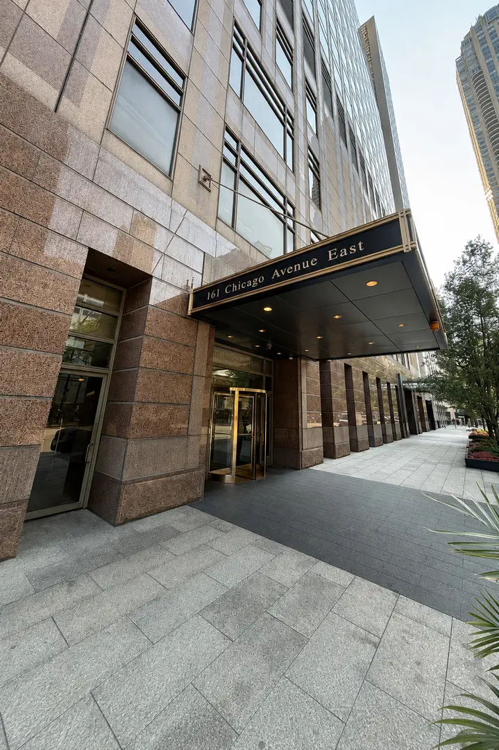 161 E Chicago Avenue #36G, Chicago, IL 60611 - #1