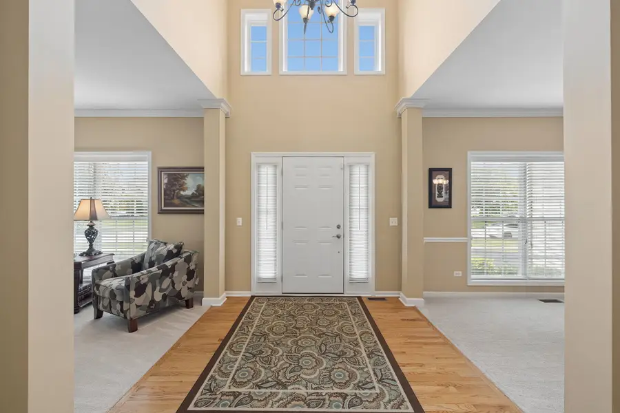 12237 Winterberry Lane, Plainfield, IL 60585 - #2