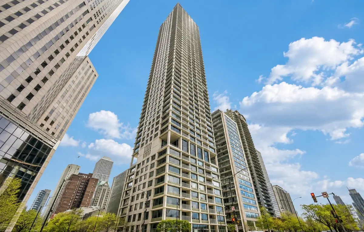 1000 N Lake Shore Plaza #24C, Chicago, IL 60611 - #1