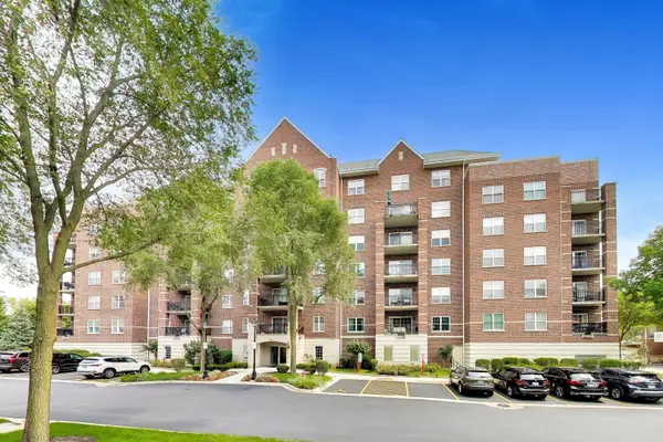 410 W Mahogany Court #205, Palatine, IL 60067