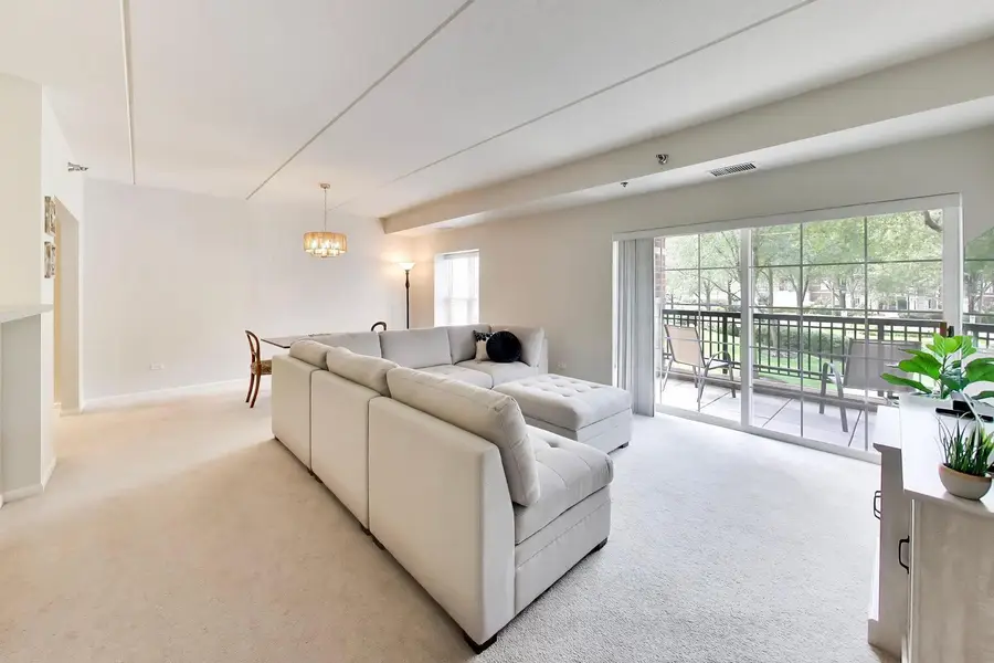 410 W Mahogany Court #205, Palatine, IL 60067 - #3