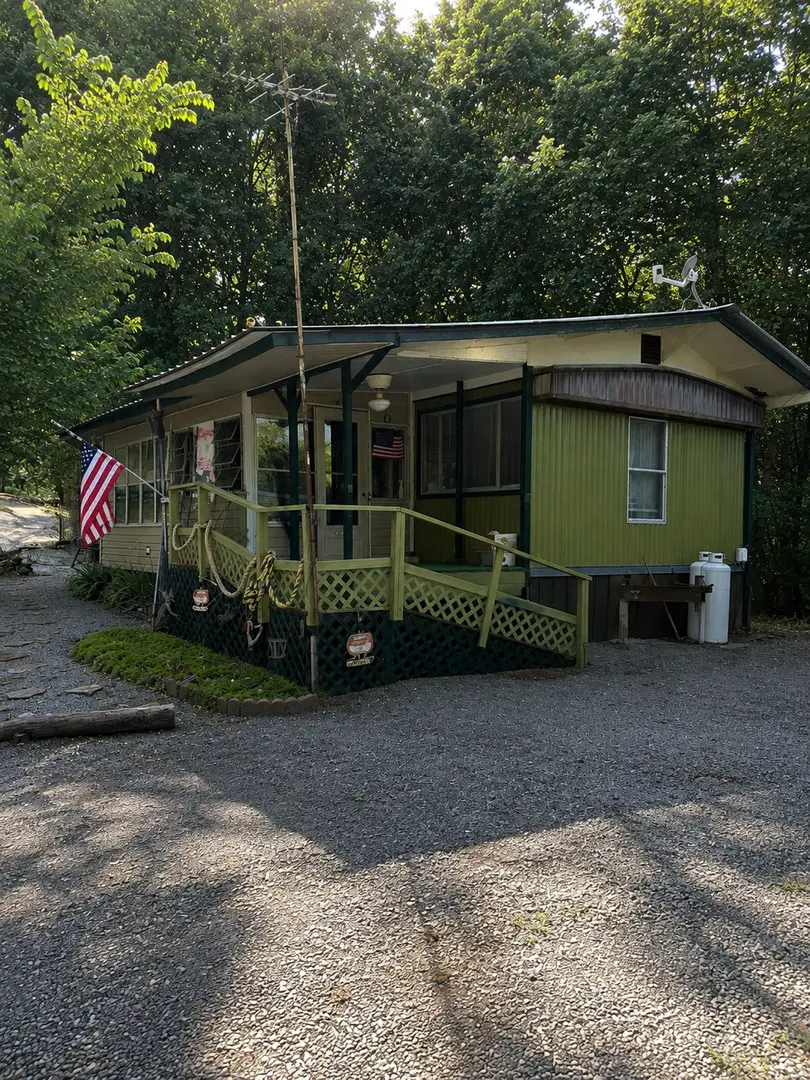 1 Mckenzie Drive, Golconda, IL 62838 - #1