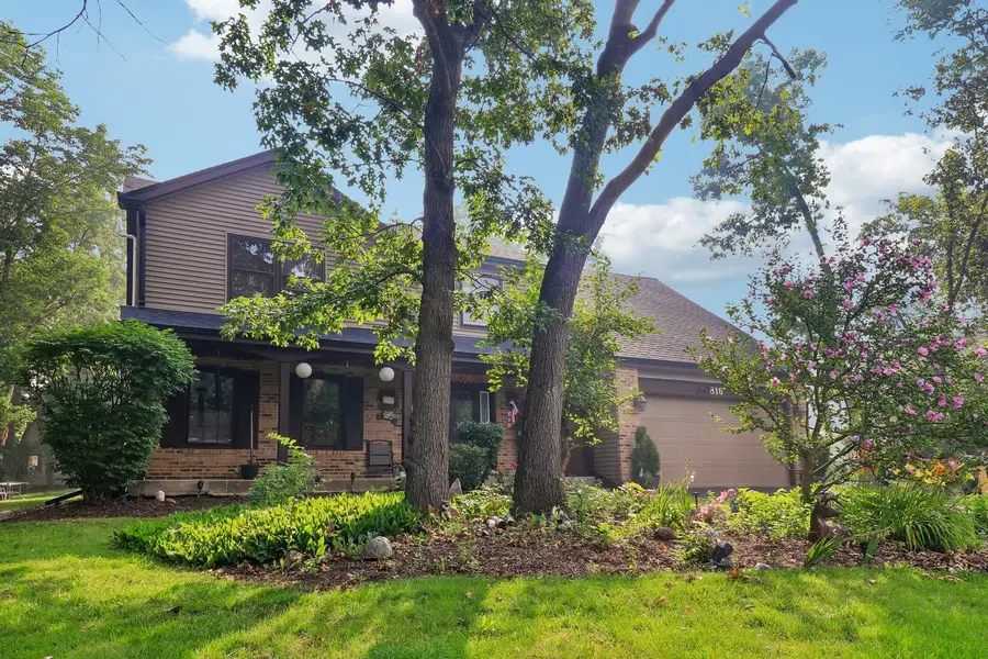 816 Bonnie Brae Lane, Bolingbrook, IL 60440 - #3