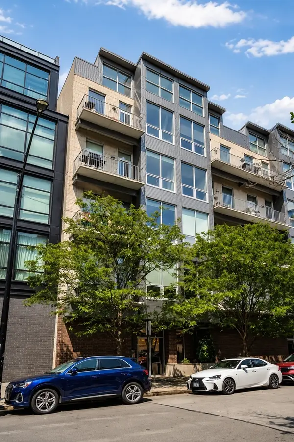 16 N Carpenter Street #4N, Chicago, IL 60607