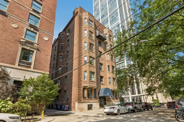 20 E Goethe Street #206, Chicago, IL 60610