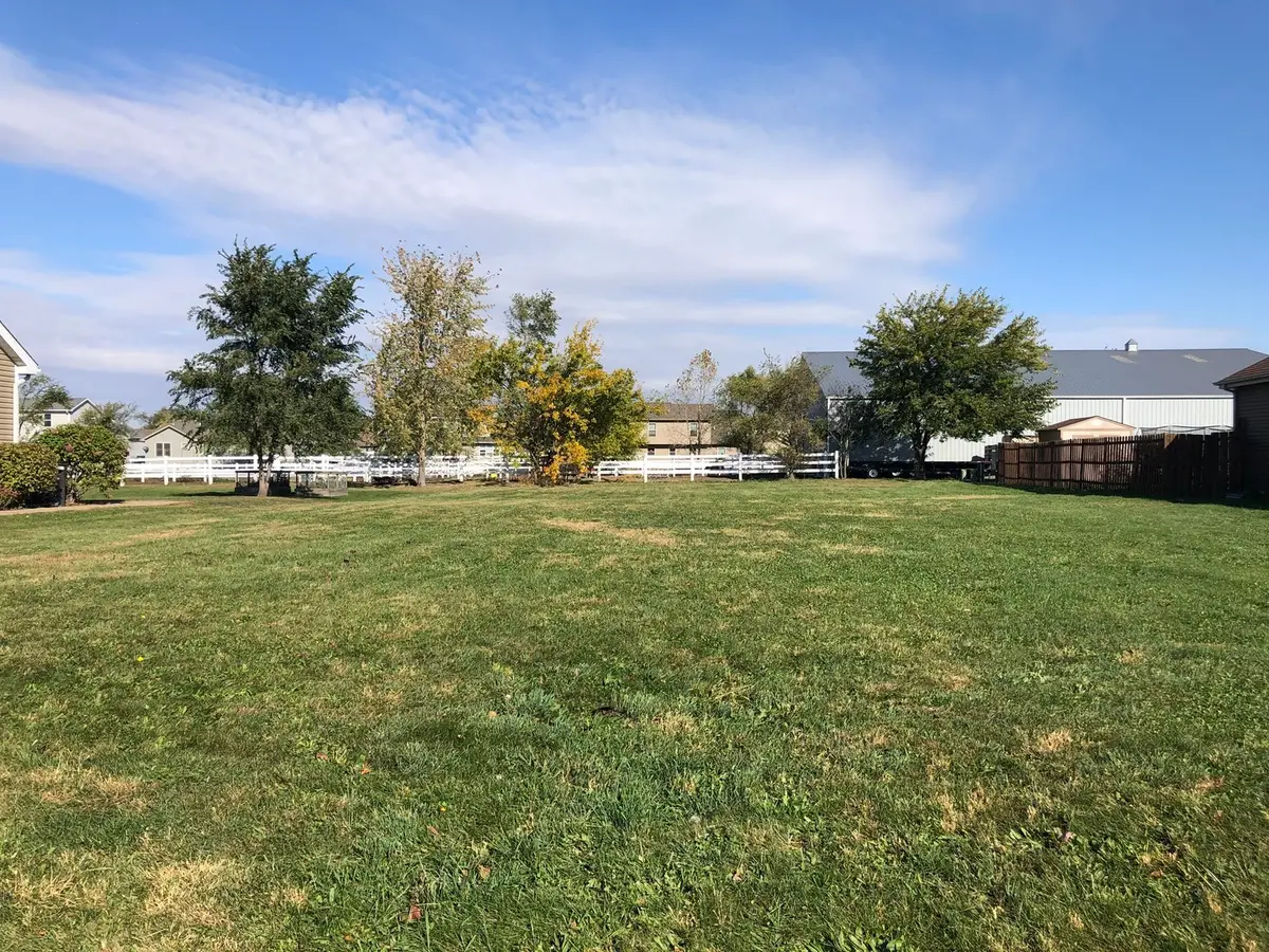 1060 Regent Court, Diamond, IL 60416 - #1
