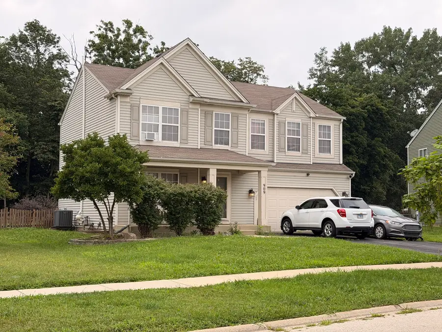 909 Timber Springs Drive, Joliet, IL 60432 - #3