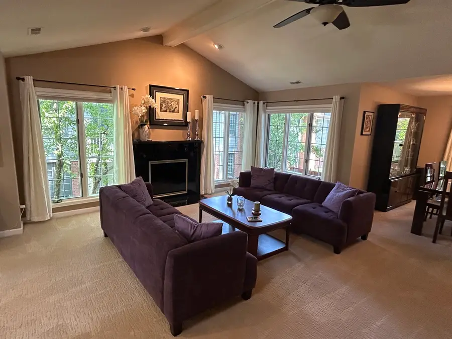211 Village Drive, Mount Prospect, IL 60056 - #3