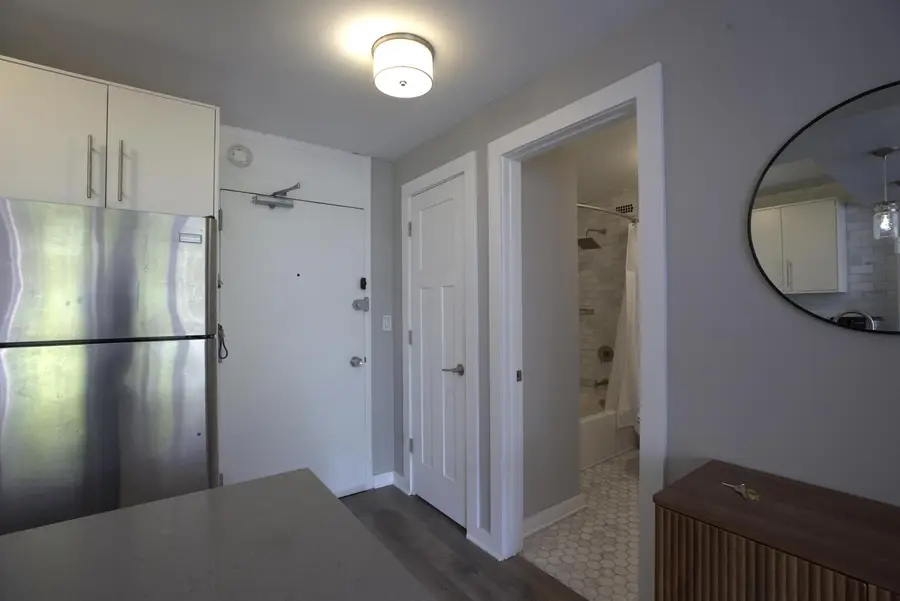 70 N Burton Place #306, Chicago, IL 60610 - #3