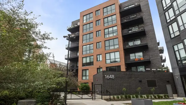 1648 W Division Street #309, Chicago, IL 60622