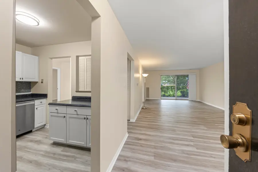 245 S Park Lane #103, Palatine, IL 60074 - #2