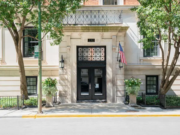 232 E Walton Place #3E, Chicago, IL 60611