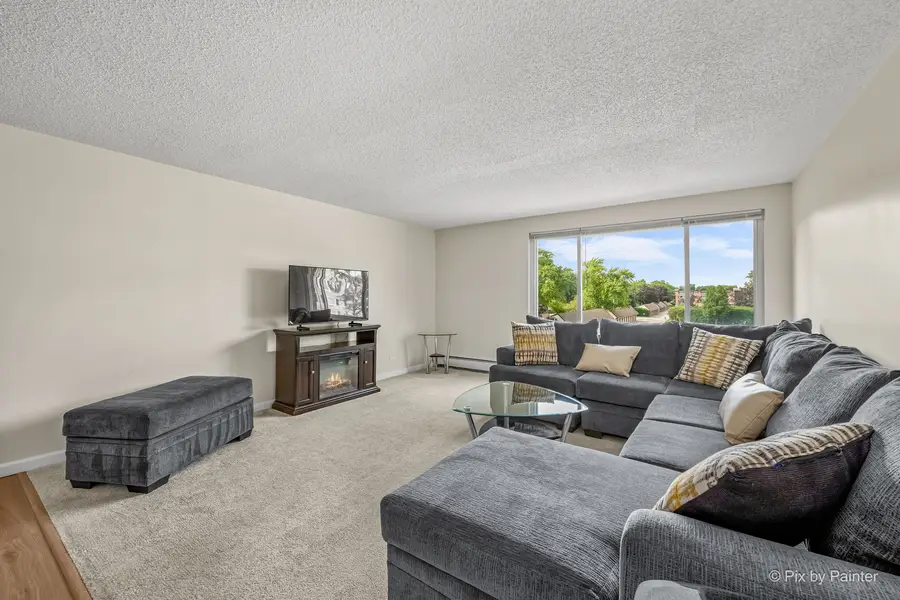 1217 S Old Wilke Road #303, Arlington Heights, IL 60005 - #3