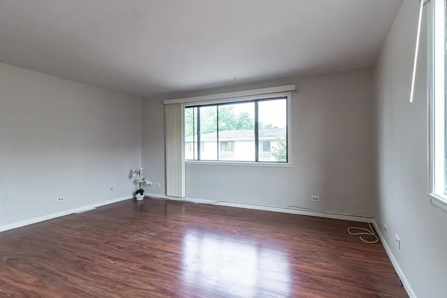 17 Dennis Court #773, Schaumburg, IL 60193 - #3