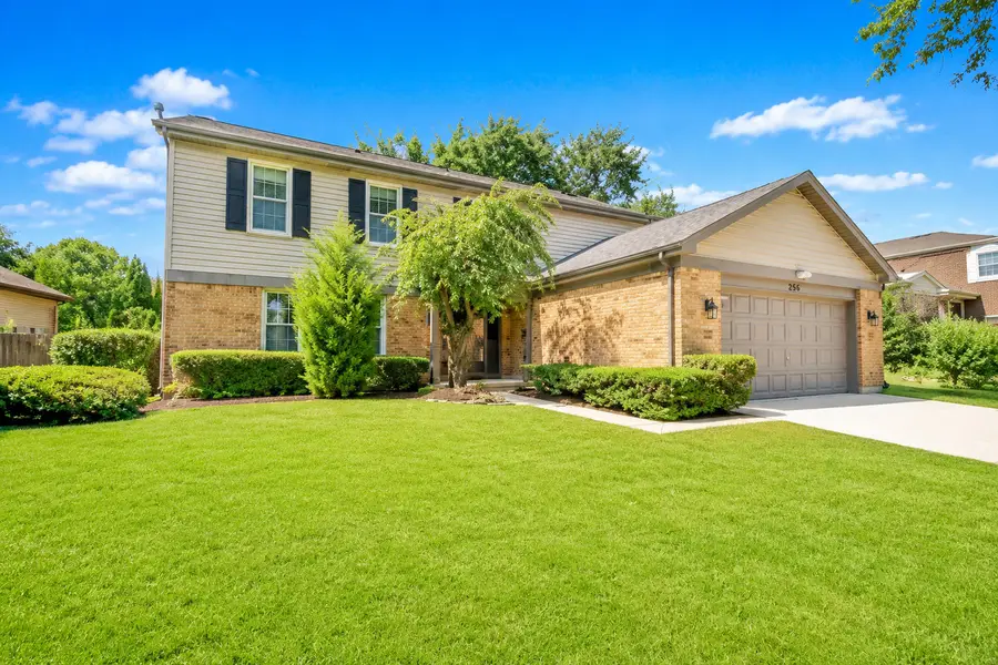 256 E Fox Hill Drive, Buffalo Grove, IL 60089 - #2