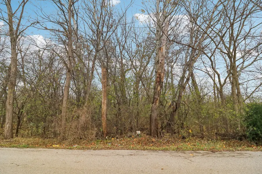 22771 Lake Park Avenue, Round Lake Beach, IL 60073 - #2
