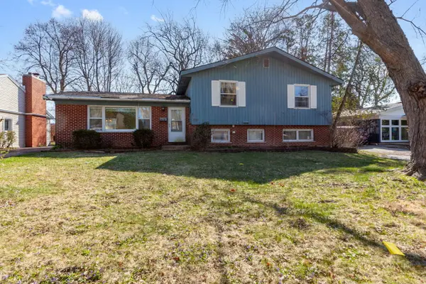 339 N Hale Street, Palatine, IL 60067